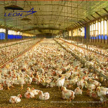 Leon series galinheiro pré-fabricado equipamento de frango inteiro para granja